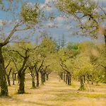Tenuta Delle Rose - Piane