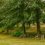 Tenuta Delle Rose - * Piane