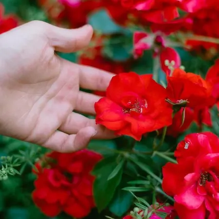 Casa di campagna Tenuta Delle Rose