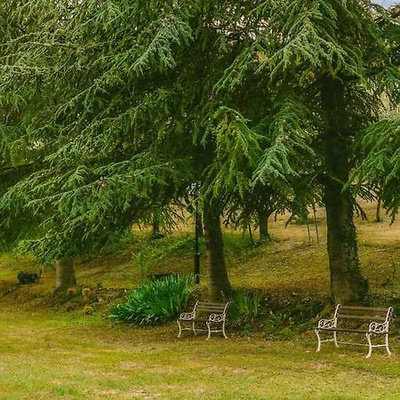 Tenuta Delle Rose * Piane