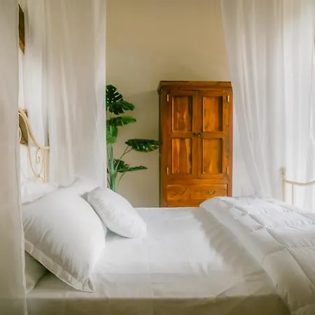 Tenuta Delle Rose * Piane