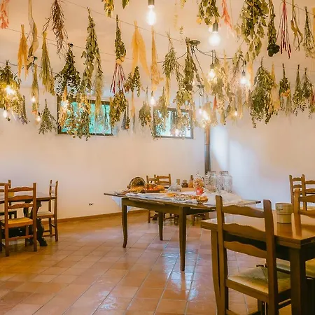 Tenuta Delle Rose * Piane