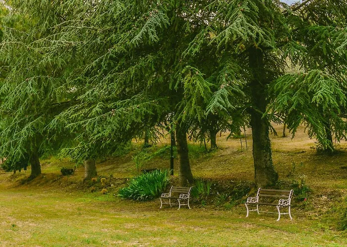 Tenuta Delle Rose - * Piane